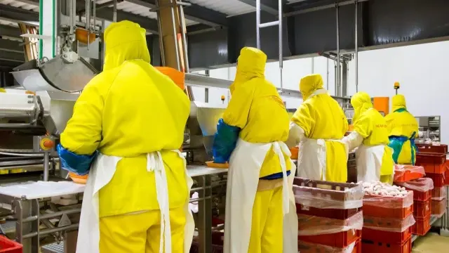 Современная производственная линия птицефабрики